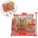 Dental Implant Analysis Demonstration Model - Crown Bridge Teeth Interpretation Model - Buy Online on SooperMarket.com