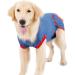 Emwel Dog Recovery Suit Recovery Shirt Abdominal Wound Protector for Large Dogs Puppy Medical Surgical Clothes blue L - Buy Online on SooperMarket.com