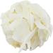 Organic Coconut Chips Raw 500g (BWFO) - Buy Online on SooperMarket.com
