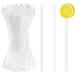 Fayme 100 Pieces 6 Inch Acrylic Lollipop Sticks Clear Reusable Acrylic Rods for Making Lollipops Cake Pops Candies Chocolates - Buy Online on SooperMarket.com