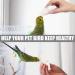 6 Pieces Bird Cuttlebone Toys Parrot Chew Calcium Toy Chewing Cuttlefish Bone with Metal Holder Bird Pet Molar Toy for Parrots Cage Birds Reptiles Tortoises Snails - Buy Online on SooperMarket.com