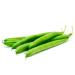 Fresh Green Bean 4kg