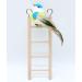 Small Wooden Bird Ladder Set - 3 Step & 4 Step | Cage Climbing Toy for Parrots - Birdie Basics - Buy Online on SooperMarket.com