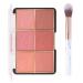 Go Ho 6 Colors Face Blush Palette Light Matte Contour Blush Makeup Palette Bright Powder Mineral Blusher Kit with Brush-02 02 Set with Brush