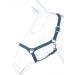 Nylon Halter BASICLINE - Dark Green Warmblood | RL24 | Durable & Stylish Horse Gear - Buy Online on SooperMarket.com
