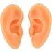 Kadimendium Human Ear Acupuncture Model - 2 Pieces for Training - Buy Online on SooperMarket.com