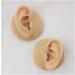 Silicone Ear Model - Human Ear Model Simulation - for Human Body Piercing Acupuncture and Moxibustion Ear Practice Ear Teaching