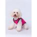 3-Pack Dog Clothing | Princess & Prince T-Shirts for Cats & Small to Medium Dogs - Cute Costumes - Buy Online on SooperMarket.com