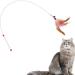 SLSON Feather Teaser Cat Toy Interactive Cat Catcher and Exerciser Wand for Cats and Kitten Playing with Feather Bell and Flexible Wire - Buy Online on SooperMarket.com
