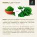 Metrol Leanbeing Organic Moringa (Olifera) Leaf Powder- Powerful Vitamins & Antioxidants (200 Gm) - Buy Online on SooperMarket.com