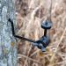 HME Products Economy Trail Camera Holder - Olive, 6.50x5.24x1.38 - Buy Online on SooperMarket.com