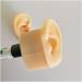 Medical Teaching Template Template Silicone Ear Template for Acupuncture - Size of Life Human Ear Model Lifeelike Artificial Ear Model - Buy Online on SooperMarket.com