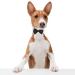 Formal Pets Bowtie Dog Cat Pets Adjustable Bow Tie and Collar Cats Puppy Grooming Ties Party Accessories Adjustable Pets Dog Cat Bow Tie Pet Costume Necktie Collar for Medium Large Boy Dog L (Pack of 1) - Buy Online on SooperMarket.com