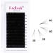 Fadlash Easy Fan D Curl 0.03 17mm Single Lashes - Natural Russian Eyelash Extensions - Buy Online on SooperMarket.com