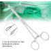 Professional Surgical Steel Sponge Tweezers for Upper Lip Navel Nose Tongue & Septum | Stainless Steel Precision Tools - Buy Online on SooperMarket.com