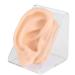 Ear Acupuncture Model Skin Friendly Practice Ear Model Silicone for Centers for Otolaryngology Pharmacies for Hospitals