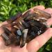 Natural Smoky Quartz Crystal Point Stone Raw Gemstone Rough Specimen Minerals Stone Home Decoration - Buy Online on SooperMarket.com