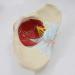 Basin Muscular Template - Woman Pelvic Floor Muscle Nerve Perineal Ligament Model - Anatomical Medical Basin with Pelvian Floor Muscles and Model - Buy Online on SooperMarket.com