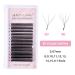 Buy Yy Eyelash Extension D Curl 0.07 - 8mm Mixed Tray | Individual Eyelash Extensions (1 Pack) - Premium Quality Webart - Buy Online on SooperMarket.com