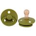 Botiniv 10 PCs Baby Beißring Schnuller |Baby calming pacifier with a portable design - pacifier for newborns the best pacifier for breastfed babies 1 pack 6 months - 3 years 10 PCs green