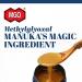 Buy Manuka Health Manuka Honey MGO 250 & MGO 100 Bundle - 100% Pure from New Zealand | Methylglyoxal Certified | 1kg (2-Pack) - Buy Online on SooperMarket.com