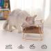 HOHXFYP Elevated Cat Bowls 15 Degree Tilt Stable Raised Cat Food Water Bowl Easily Removable Transparent Cat Bowls with Raised Bowl Bottom for Cats Dogs(S-Gold) Small Gold - Buy Online on SooperMarket.com