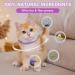 Woyamay Calming Collar for Cats Luminous Safety Glow Adjustable Calming Cat Collar for Anxiety Relief Natural Cat Calming Pheromone Collar with 60 Days for Kitten Medium Large Cats 2 Pack Purple Purple-2 Pack - Buy Online on SooperMarket.com