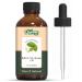 Belleric Myrobalan (Terminalia bellirica) Oil | Pure & Natural Essential Oil for Skincare & Hair Care - 30ml/1.01fl oz