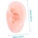 2 Pairs Healeved Silicone Ear Mold Piercing Earrings - Body Jewelry for Right Ear Simulation | Mannequin Silicone Body Parts - Buy Online on SooperMarket.com