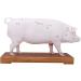 Acupuncture Pig Model Veterinary Acupuncture Animal Anatomy Model Medical Training Aid - Buy Online on SooperMarket.com