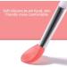 Silicone Lip Brushes Mini Lip Scrub Exfoliating Brush Reusable Lip Balm Applicators 10pcs for Lip Care Lip Gloss Lip Masks Eyeshadow Pink - Buy Online on SooperMarket.com