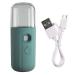 Mini Facial Mister Handheld Face Mist Sprayer Moisturizing USB Recharging Skin Hydration Tool 30ml Green Handy Moisturizing Sprayer