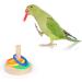 Yunmoxiao Bird Training Toy Wooden Bird Block Puzzle Toy Parrot Training Basketball Colorful Stacking Rings Toy Birds for small to Medium Birds - Buy Online on SooperMarket.com