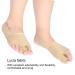 Schellen Bunion Corrector Kit for Women & Men - Hallux Valgus Pad Sleeves for Day & Night Relief (Size L 40-45) - Buy Online on SooperMarket.com