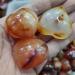3pcs Natural Heart-Shaped Colorful Red Carnelian Agate Flame Geode Beautiful Crystal - Buy Online on SooperMarket.com