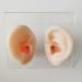 Soft Silicone Human Ear Simulation Model Learning Accessory for Ear Extraction of The Hearing Conduit Suitable for Visual Extraction Practice - Buy Online on SooperMarket.com