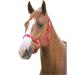 Shires Adjustable Pony/Horse Headcollar - Black Full Navy Full - Buy Online on SooperMarket.com