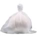 Buy XL 6-Pack Organic Wool Dryer Balls | Eco-Friendly Reusable Natural Fabric Softener - International Shipping Available - Buy Online on SooperMarket.com