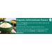 T&L Green Dragon Thai Jasmine Fragrant AAA Rice 10kg - | Delicate Jasmine Aroma | Long Aromatic Grains | Versatile for Various Cuisines | Ethically Sourced Farming | Nutrient-Rich | Gluten-Free - Buy Online on SooperMarket.com
