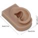 Flexible Brown Right Ear Model for Earrings Display and Acupuncture Training - Buy Online on SooperMarket.com