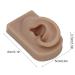 Reusable Human Ear Model - Right Ear for Piercing Training & Display (Brown) - Buy Online on SooperMarket.com