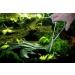 VORESTIC Aquarium Scissors 25cm - Straight Aquascaping Tools for Terrarium Plants - Buy Online on SooperMarket.com