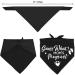 Pregnancy Announcement Dog Bandana Set for Dog Lovers - Gender Reveal Photo Prop and Pet Scarf Decorations - Pack of 2 - Buy Online on SooperMarket.com