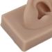Flexible Brown Right Ear Model for Earrings Display and Acupuncture Training - Buy Online on SooperMarket.com