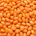 Jelly Belly Pumpkin Spice Jelly Beans Halloween Christmas Full Size 1-Pack 100g Candy Bags containing Pumpkin Pie Spice Kosher Candy Gluten Free Stocking Stuffers for Teens Holidays Bonbon Pumpkin Pie pack of 1 - Buy Online on SooperMarket.com