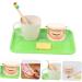 Buy Healvian 1 Set Early Dental Education Toy - Prosthesis Model for Toddlers | Reusable ABS Experience Learning - Buy Online on SooperMarket.com