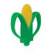 Nuby 2 Handle Silicone Fruit and Veggie Teether - 3+ Months | Corn Yellow - Buy Online on SooperMarket.com
