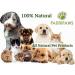 100% Natural Flea Shampoo for Dogs - Natural Flea Away Shampoo - Flea Shampoo for dogs to kill Fleas and Eggs - Safe Chemical Free - Natural Dog Flea Shampoo - Buy Online on SooperMarket.com
