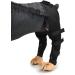 Pet Dog Knee Brace ACL Brace for Dogs Rear Leg Dog Braces for Back Leg for Support for Heals Prevents Injuries Sprains Black Medium Medium Black - Buy Online on SooperMarket.com