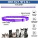YOTANGO Cat Collar Repellent 4 Pack Cat Collar-Built-in Pant-Based Formula Strong Repellency Slow Release Pleasant Aroma Waterproof (PurpleGrey) - Buy Online on SooperMarket.com